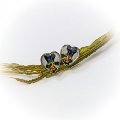 Сережки-гвіздочки з сухоцвітами у формі серця Братики на білому фоні