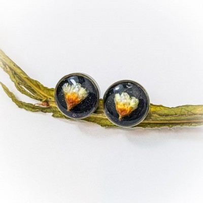 Сережки-гвіздочки з сухоцвітами на чорному фоні V2